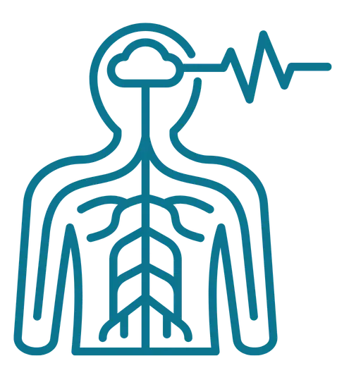 Neurological Evaluation